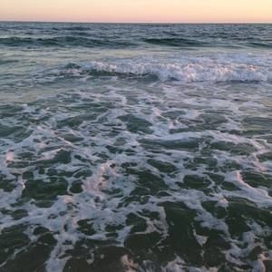 Meet your Posher, Demetria